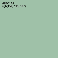 #9FC1A7 - Shadow Green Color Image