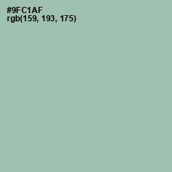 #9FC1AF - Shadow Green Color Image