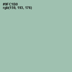 #9FC1B0 - Shadow Green Color Image