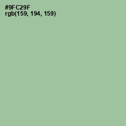 #9FC29F - Feijoa Color Image