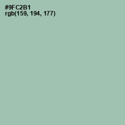 #9FC2B1 - Shadow Green Color Image