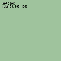 #9FC39C - Feijoa Color Image