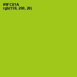#9FC81A - Pistachio Color Image