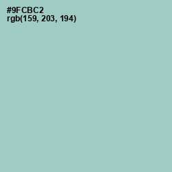 #9FCBC2 - Sinbad Color Image