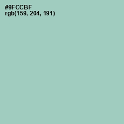 #9FCCBF - Shadow Green Color Image