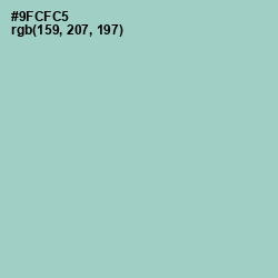 #9FCFC5 - Sinbad Color Image