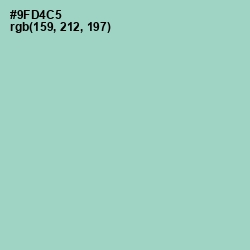 #9FD4C5 - Sinbad Color Image