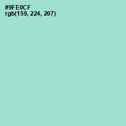 #9FE0CF - Riptide Color Image
