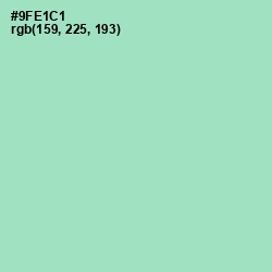 #9FE1C1 - Riptide Color Image