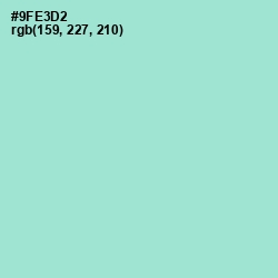#9FE3D2 - Riptide Color Image