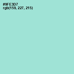 #9FE3D7 - Riptide Color Image