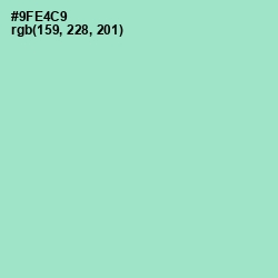 #9FE4C9 - Riptide Color Image