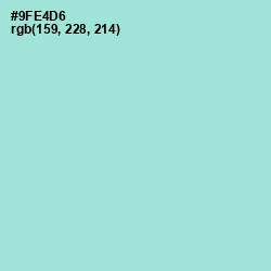 #9FE4D6 - Riptide Color Image