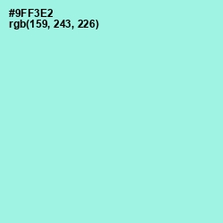 #9FF3E2 - Anakiwa Color Image