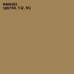 #A08455 - Barley Corn Color Image