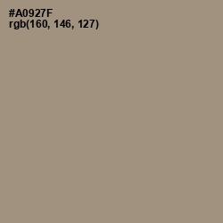#A0927F - Donkey Brown Color Image