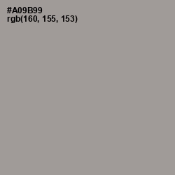 #A09B99 - Dusty Gray Color Image