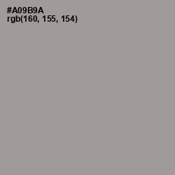 #A09B9A - Dusty Gray Color Image