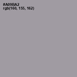 #A09BA2 - Amethyst Smoke Color Image
