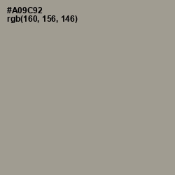 #A09C92 - Zorba Color Image