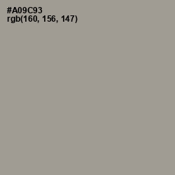 #A09C93 - Zorba Color Image