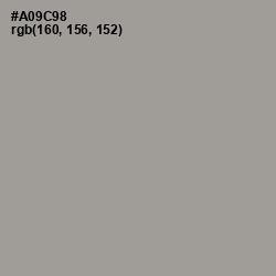 #A09C98 - Zorba Color Image