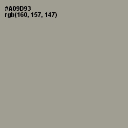 #A09D93 - Zorba Color Image