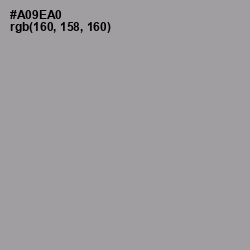 #A09EA0 - Amethyst Smoke Color Image