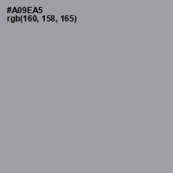 #A09EA5 - Amethyst Smoke Color Image