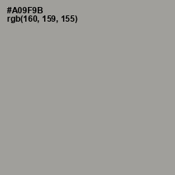 #A09F9B - Dusty Gray Color Image