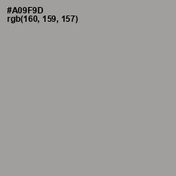 #A09F9D - Dusty Gray Color Image