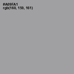 #A09FA1 - Amethyst Smoke Color Image