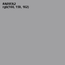 #A09FA2 - Amethyst Smoke Color Image