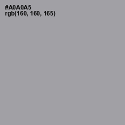 #A0A0A5 - Shady Lady Color Image