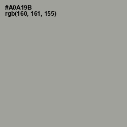 #A0A19B - Delta Color Image