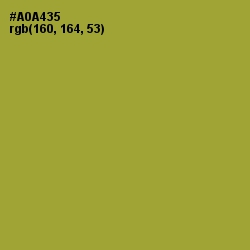 #A0A435 - Citron Color Image