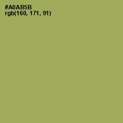 #A0AB5B - Olive Green Color Image