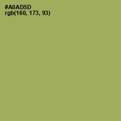 #A0AD5D - Olive Green Color Image