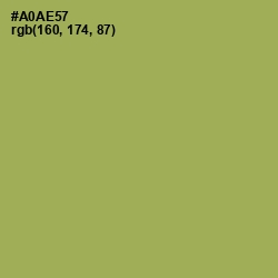 #A0AE57 - Olive Green Color Image