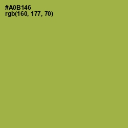#A0B146 - Olive Green Color Image