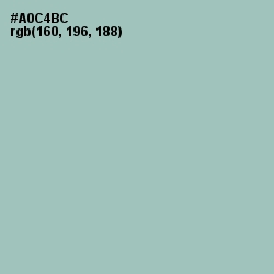 #A0C4BC - Spring Rain Color Image