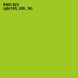 #A0C822 - Key Lime Pie Color Image