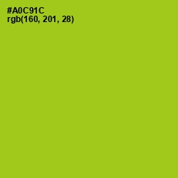 #A0C91C - Bahia Color Image
