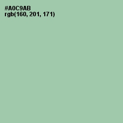 #A0C9AB - Spring Rain Color Image