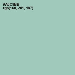 #A0C9BB - Spring Rain Color Image