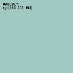 #A0CAC1 - Opal Color Image