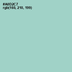 #A0D2C7 - Opal Color Image