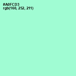 #A0FCD3 - Magic Mint Color Image