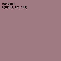 #A17983 - Turkish Rose Color Image