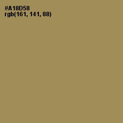 #A18D58 - Barley Corn Color Image